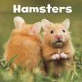 Hamsters