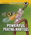 Higgins, M: Powerful Praying Mantises