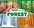 A Year in the Forest