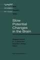 Slow Potential Changes in the Brain