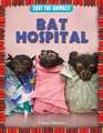 Bat Hospital