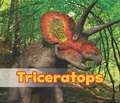 Triceratops