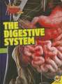 The Digestive System