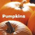 Pumpkins