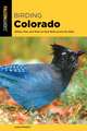 Birding Colorado