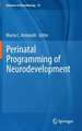 Perinatal Programming of Neurodevelopment