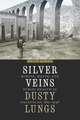 Silver Veins, Dusty Lungs: Mining, Water, and Public Health in Zacatecas, 1835–1946