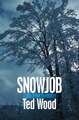 Snowjob: A Reid Bennett Mystery