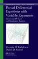 Partial Differential Equations with Variable Exponents: Variational Methods and Qualitative Analysis