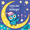 Little Owl Says Goodnight: A Slide-And-Seek Book