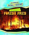 The Science of Forest Fires