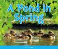 A Pond in Spring