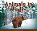 Animals in Winter