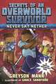 Never Say Nether: Secrets of an Overworld Survivor, #4