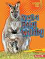 Meet a Baby Wallaby Meet a Baby Wallaby