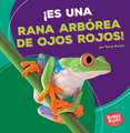 Es Una Rana Arborea de Ojos Rojos! (It's a Red-Eyed Tree Frog!)