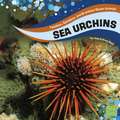 Sea Urchins