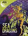 Sea Dragons