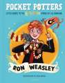 Pocket Potters: Ron Weasley