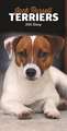 JACK RUSSELL TERRIERS SLIM DIARY 2022