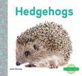 Hedgehogs