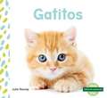 Gatitos (Kittens)