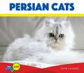 Persian Cats