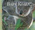 Baby Koala