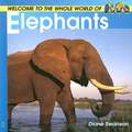 Welcome to the World of Elephants