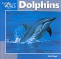 Dolphins