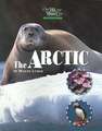 The Arctic