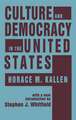 Culture and Democracy in the United States