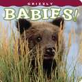 Grizzly Babies!