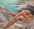 About Mollusks: A Guide for Children