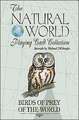 Birds of Prey of the World