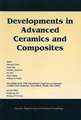 Developments in Advanced Ceramics and Composites (Ceramic Engineering and Science Proceedings V26 Number 8)