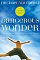 Dangerous Wonder: The Adventure of Childlike Faith