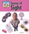 Sense of Sight