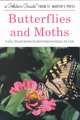 Butterflies and Moths