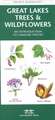 Great Lakes Trees & Wildflowers: A Folding Pocket Guide to Familiar Species