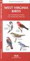 West Virginia Birds: A Folding Pocket Guide to Familiar Species