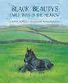 Black Beauty's Early Days in the Meadow