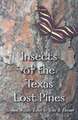 Insects of the Texas Lost Pines