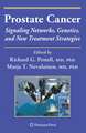 Prostate Cancer: Signaling Networks, Genetics, and New Treatment Strategies