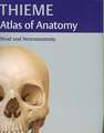 Head and Neuroanatomy (THIEME Atlas of Anatomy)