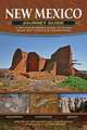 New Mexico Journey Guide: A Driving & Hiking Guide to Ruins, Rock Art, Fossils & Formations