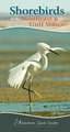 Shore Birds of the Southeast & Gulf States