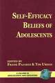 Self-Efficacy Beliefs of Adolescents (PB)