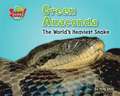 Green Anaconda: The World's Heaviest Snake