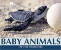 Baby Animals of the Seashore